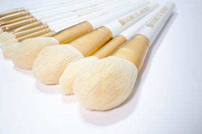 Back Stage Brush Set